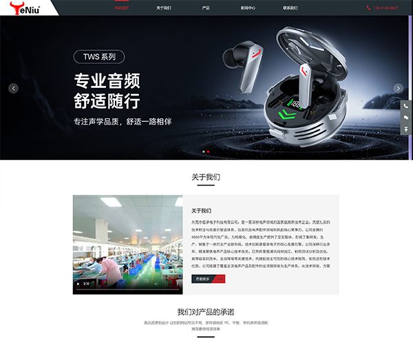 东莞市锟卓电子科技有限公司-网站开发案例